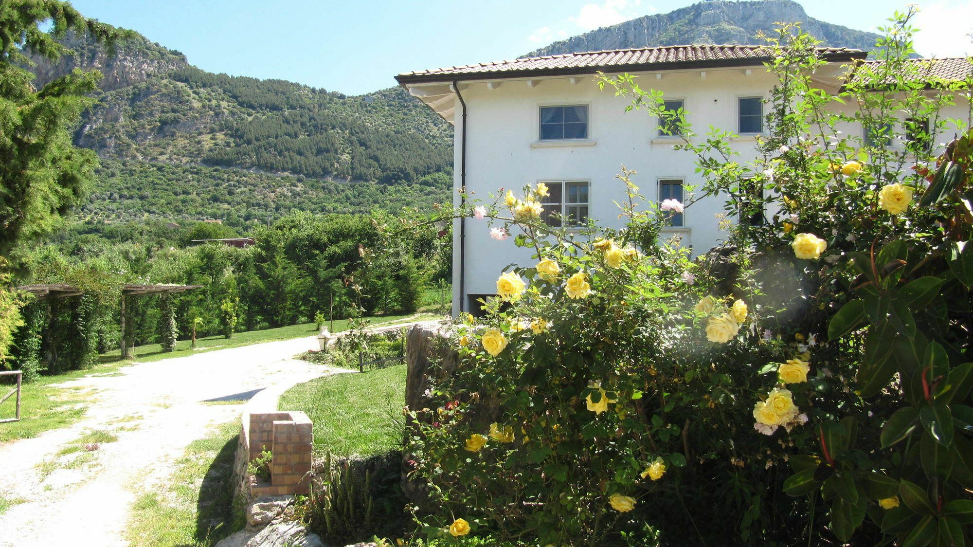 B&B Macchia D'Olmo Capaccio Exterior photo
